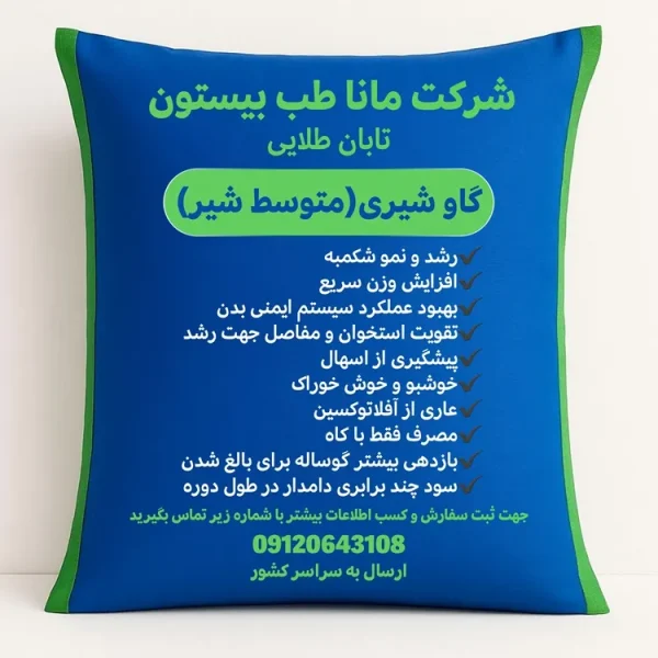 خوراک گاو شیری