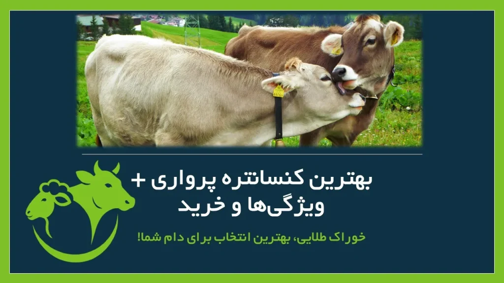 کنسانتره پرواری
