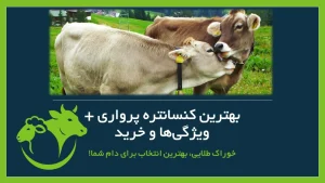 کنسانتره پرواری