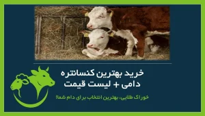 خرید کنسانتره دامی
