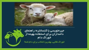 جیره‌بندی کنسانتره