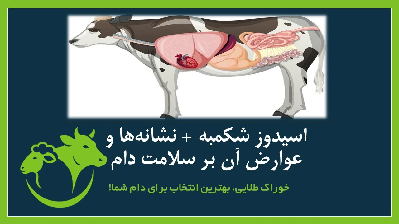 اسیدوز شکمبه